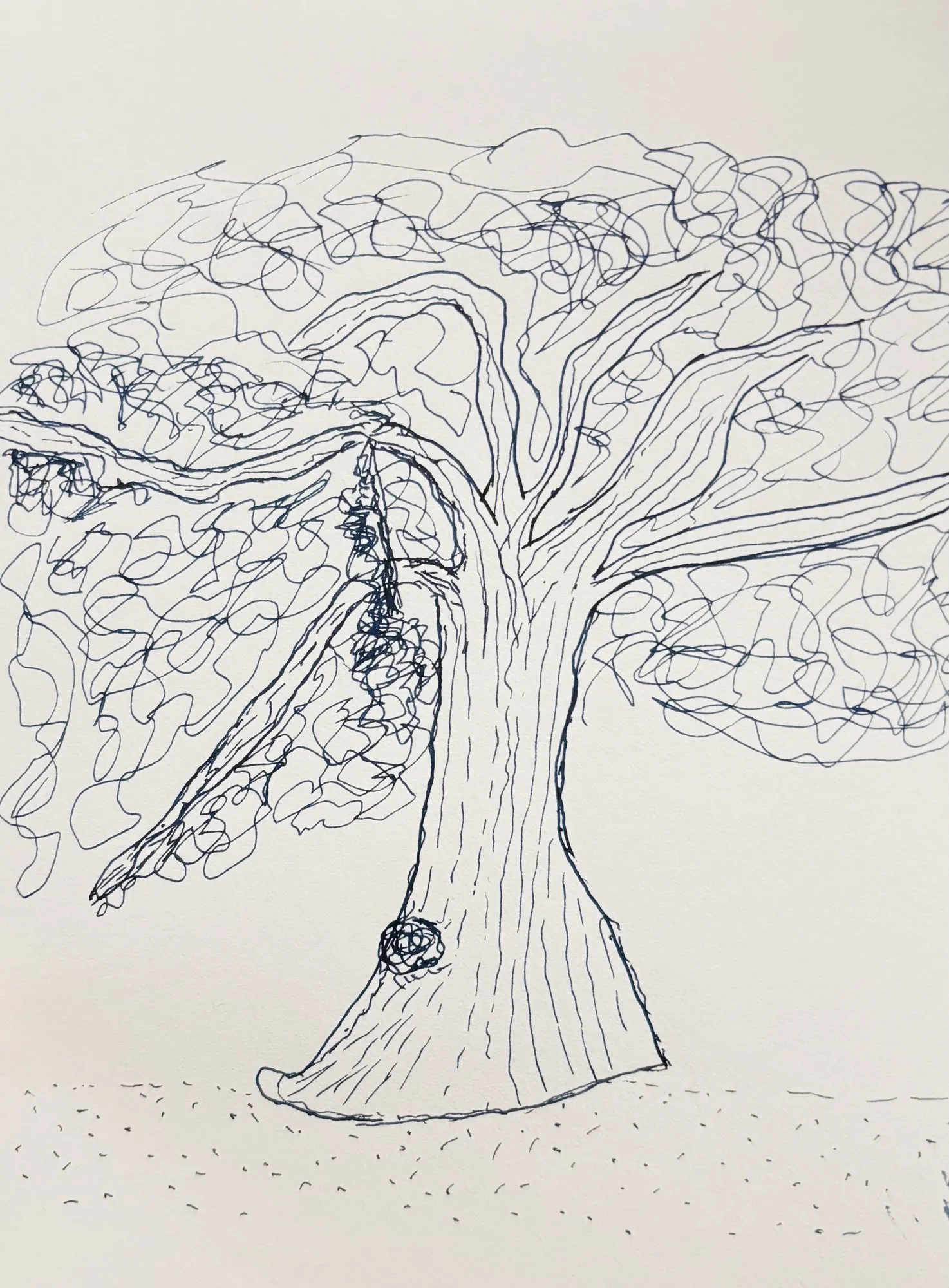 Oak tree sketch