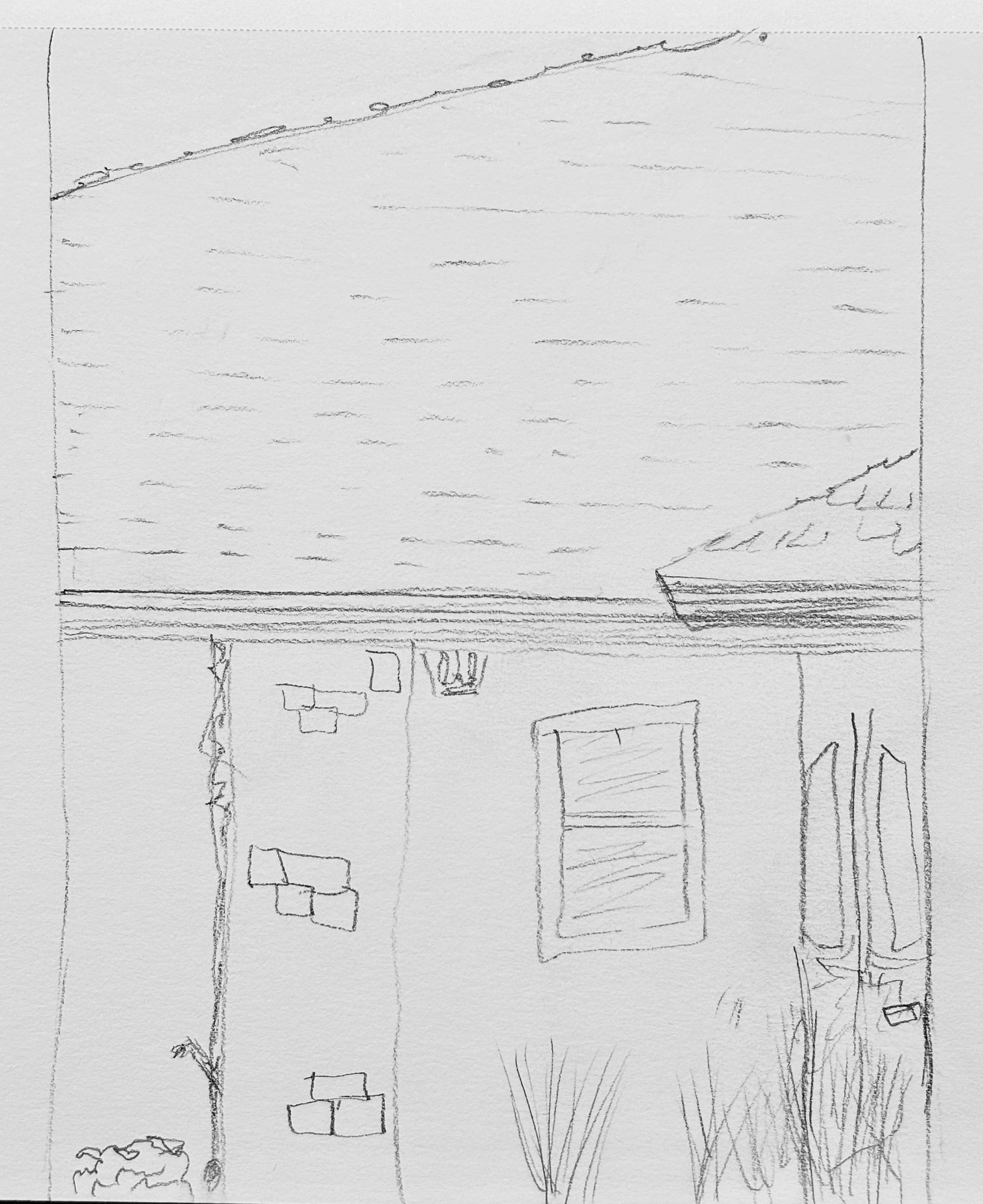 View from the office